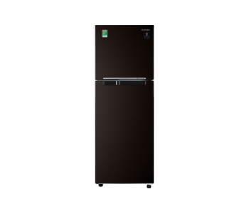 Tủ lạnh Samsung Inverter 236 lít RT22M4032BY/SV