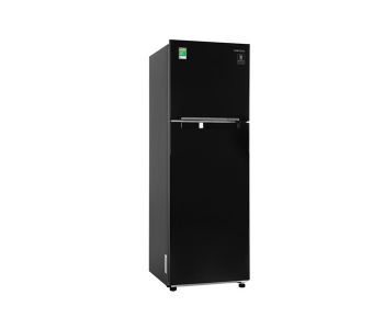 Tủ lạnh Samsung Inverter 256 lít RT25M4032BU/SV