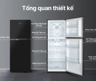 Tủ Lạnh Hisense Inverter 205 lít RT256N4EBN – Lựa chọn thông minh cho gia đình hiện đại