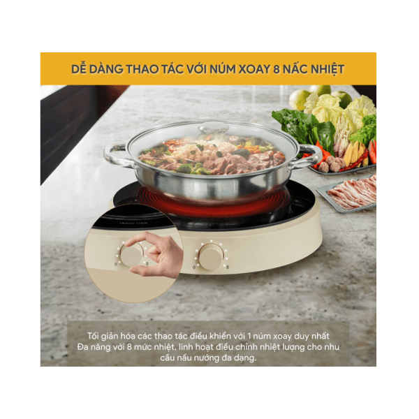Bếp từ BlueStone ICB-6603