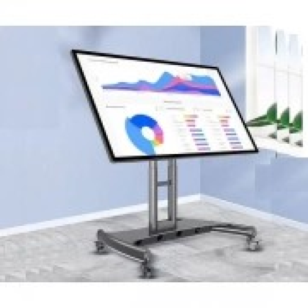 Giá treo ERGOTEK E1355 ( 32