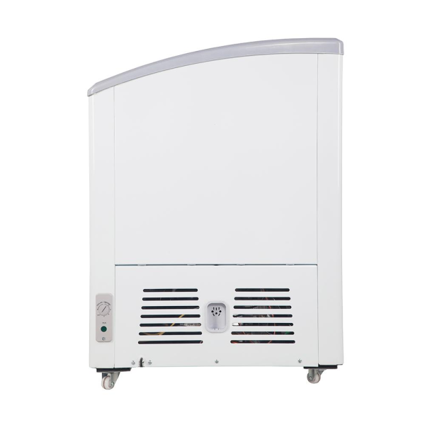 Tủ đông nắp kính cong Alaska 248 lít KC-210C