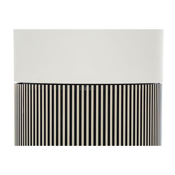 Máy lọc không khí LG PuriCare Aero Booster AS55GGSY0.ABAE