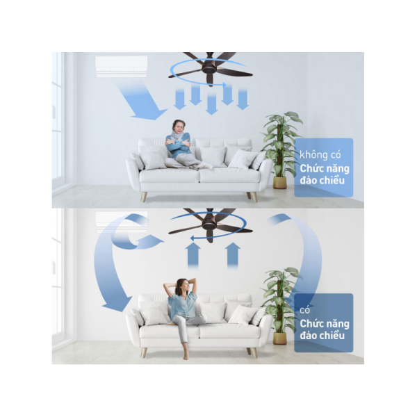 Quạt trần 5 cánh Panasonic F-60GDS - Ti 21.2