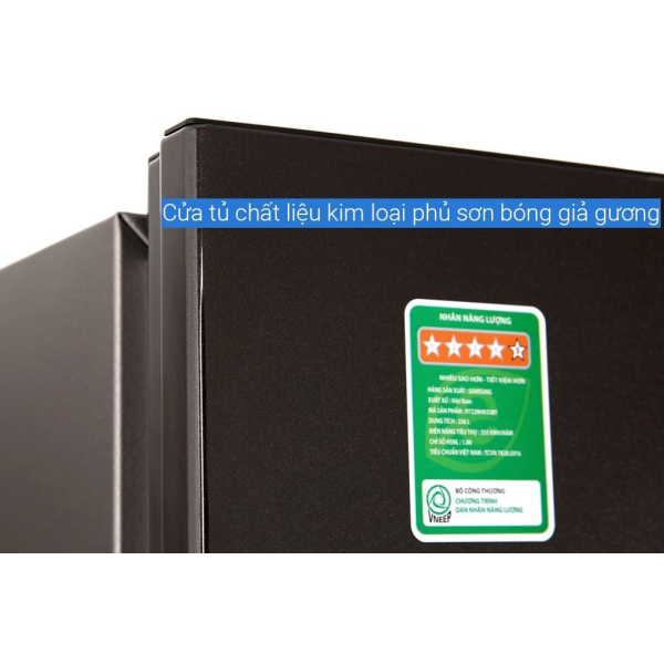 Tủ lạnh Samsung Inverter 236 lít RT22M4032BY/SV