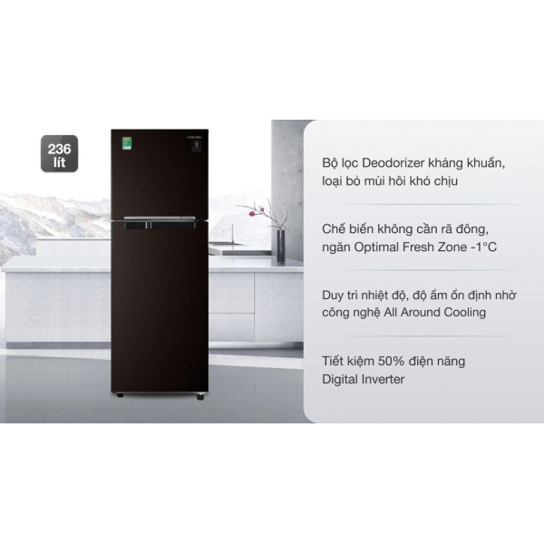 Tủ lạnh Samsung Inverter 236 lít RT22M4032BY/SV
