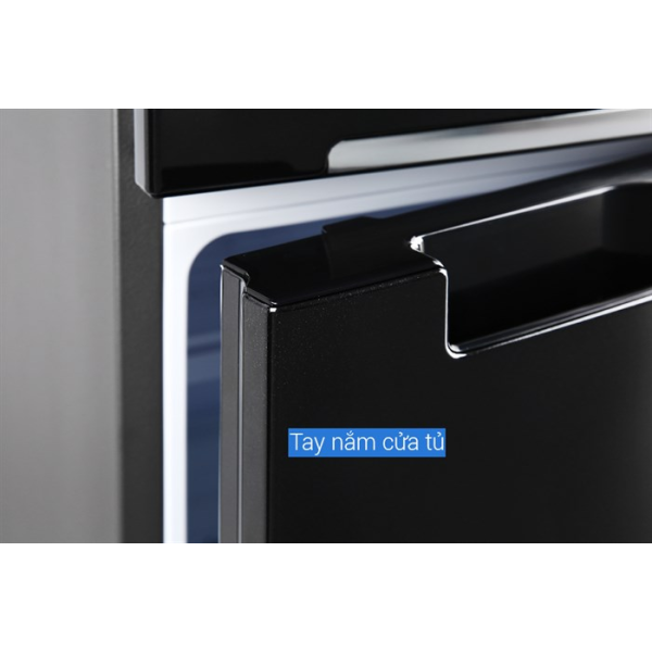 Tủ lạnh Samsung Inverter 256 lít RT25M4032BU/SV