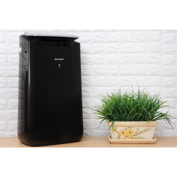 Máy lọc không khí Sharp FP-J80EV-H