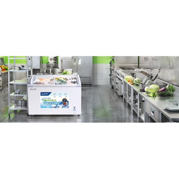 Tủ đông Hòa Phát cánh kính 357 lít HSF AD6357.C1
