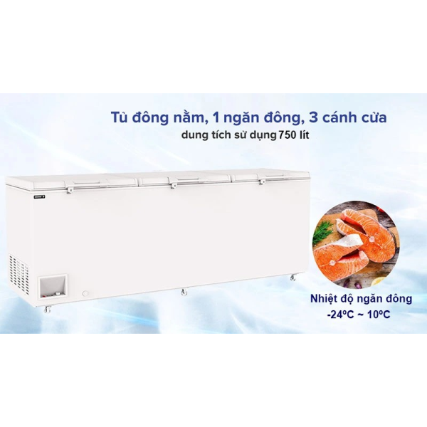 Tủ đông 2 cánh Inverter Sanden SNQ-0805i 818L