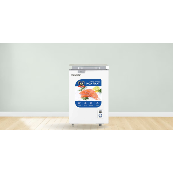 Tủ đông Hòa Phát 107 lít HPF AD6107G