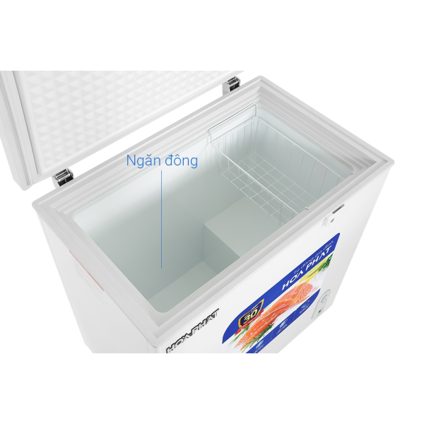 Tủ đông Hòa Phát 162 Lít HPF AD6162
