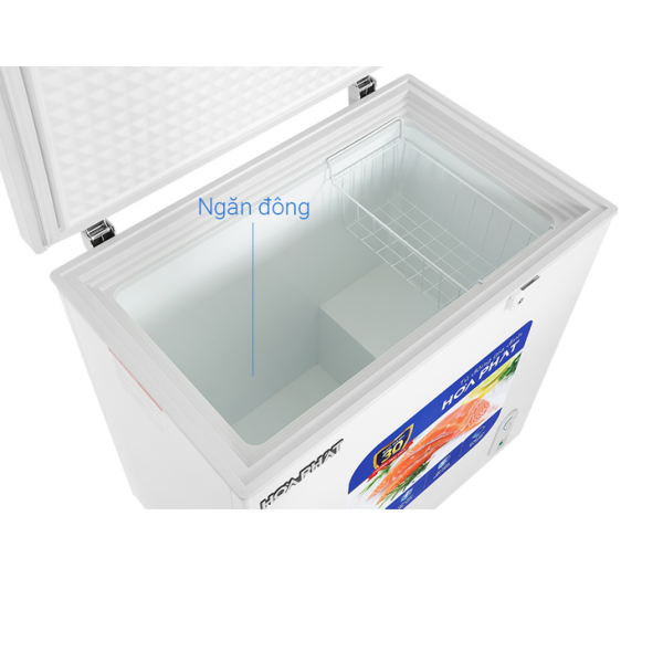 Tủ đông Hòa Phát 162 lít HPF AN6162