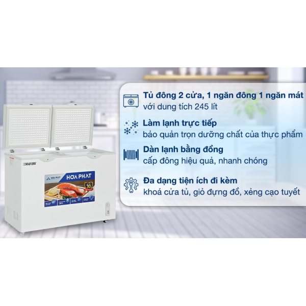 Tủ Đông Mát Hòa Phát 245 Lít HPF BD6245.T1