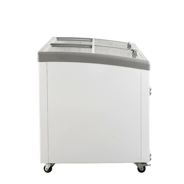 Tủ đông nằm kính phẳng Alaska 650 lít KN-650