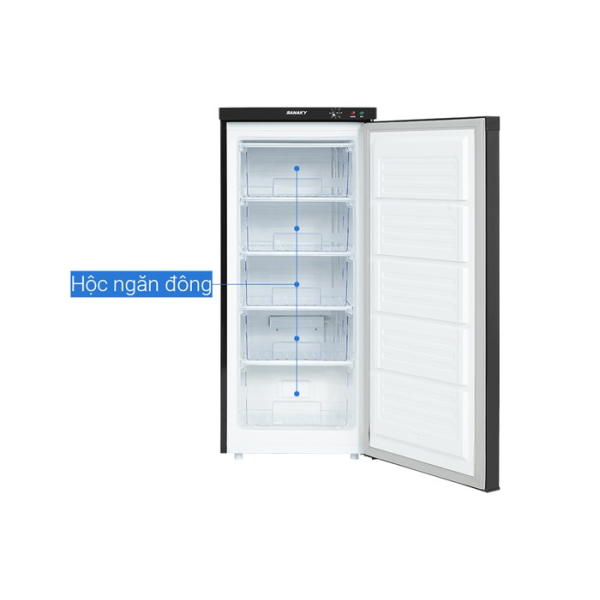 Tủ đông Sanaky Inverter 150 lít VH180VD3 