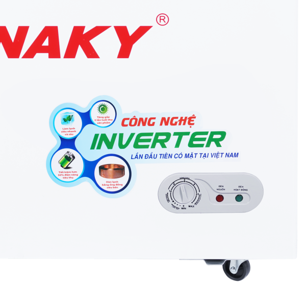 Tủ đông Sanaky Inverter 270lít VH3699A4K