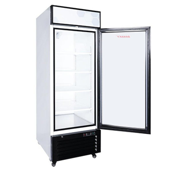 Tủ đông Sanaky VH768K