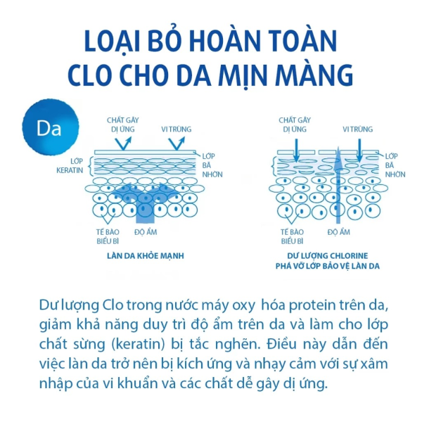 Vòi sen tắm khử Clo Torayvino RS54