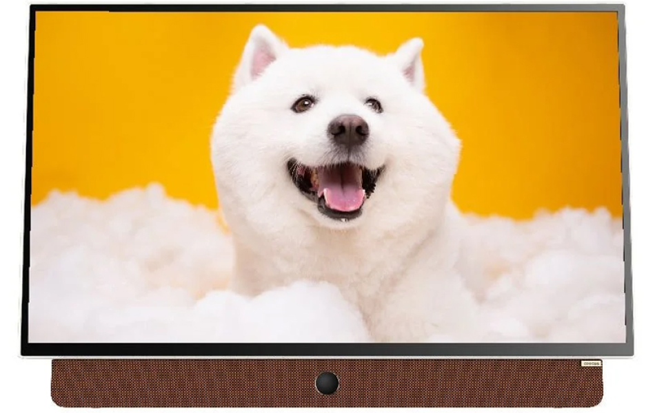  Google tivi xách tay Coocaa FHD 24 inch 24LP6000G