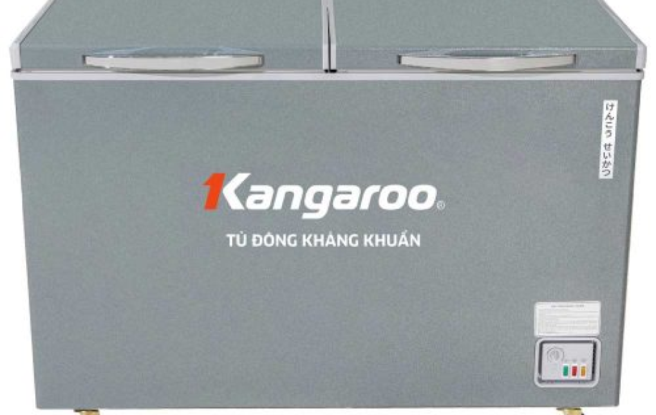 Tủ đông kháng khuẩn Kangaroo 230 lít KGFZ290NG2