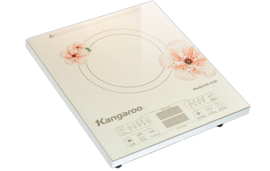 Bếp điện từ đơn KG418i