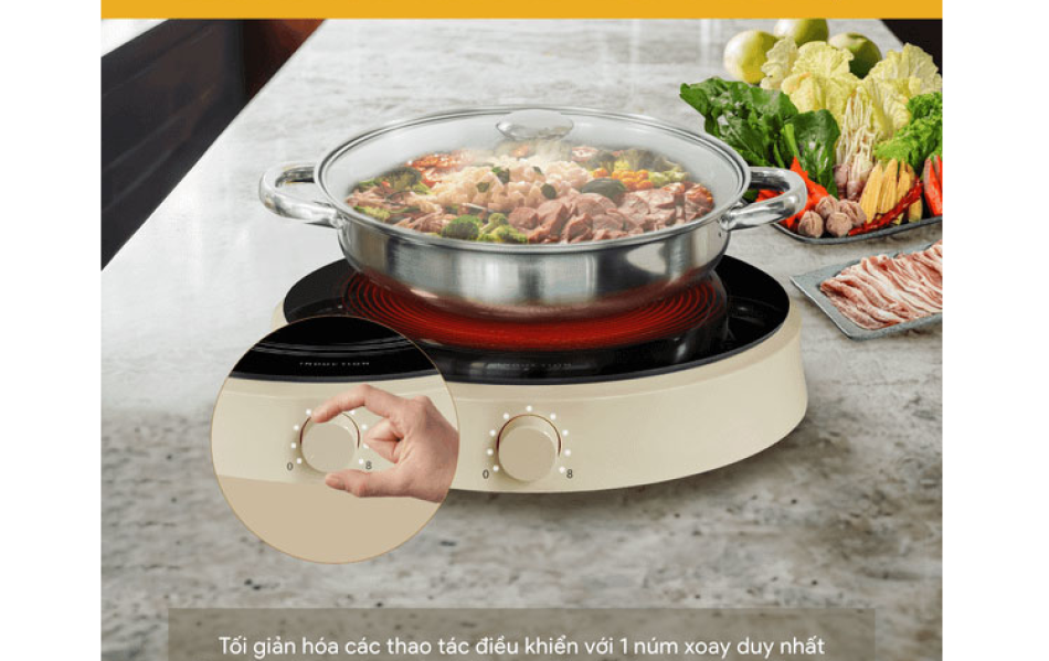 Bếp từ BlueStone ICB-6603