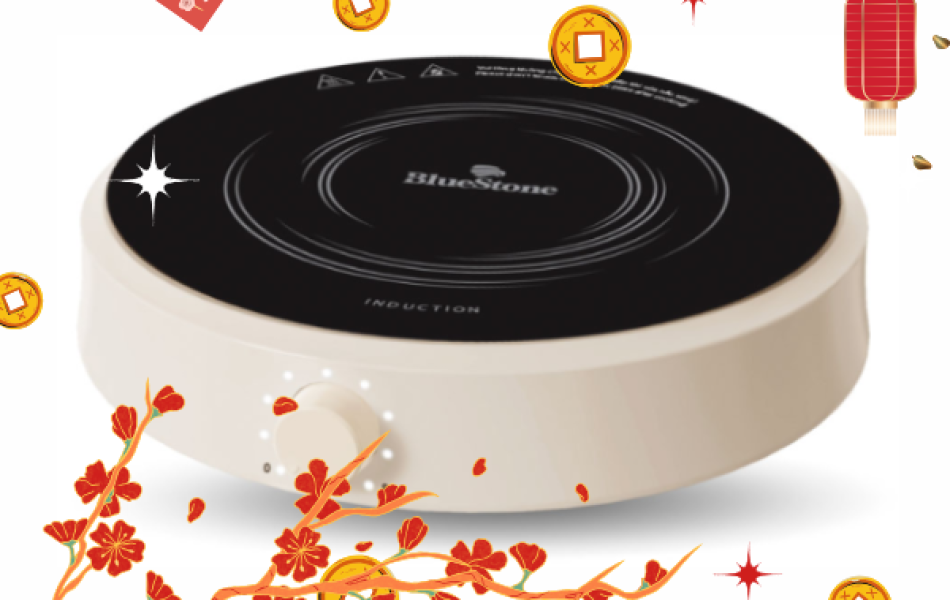 Bếp từ BlueStone ICB-6603