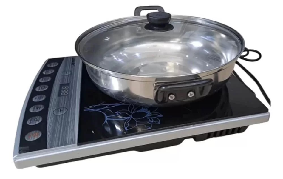 Bếp từ Sanaky SNK-ICP17A