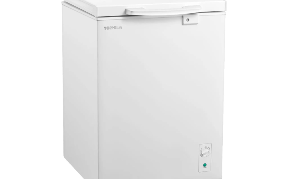 Tủ đông Toshiba GR-RC185CM-PMV(01) (143 lít)