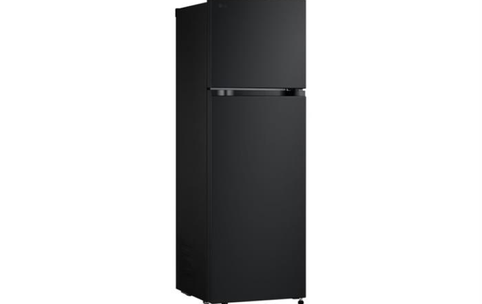 Tủ lạnh LG Inverter 266 lít LTB26BLM
