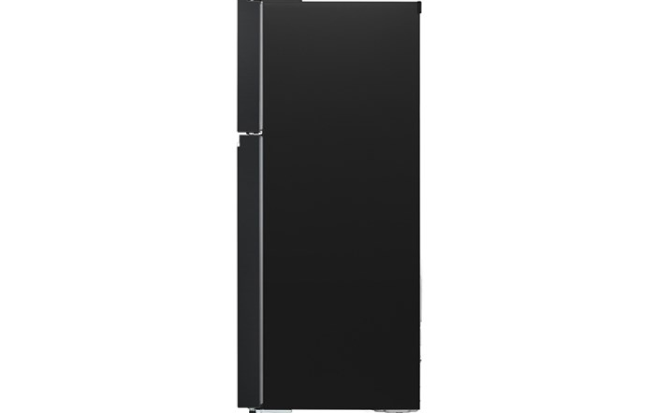 Tủ lạnh LG Inverter 315 lít LTB31BLM