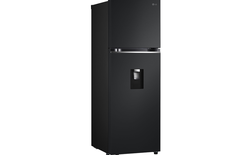 Tủ lạnh LG Inverter 334 lít LTD33BLM