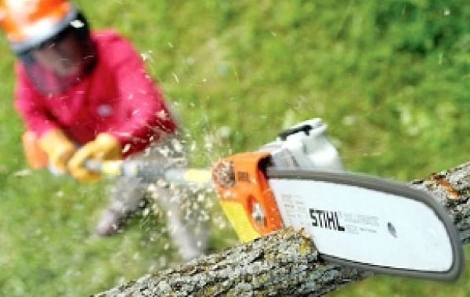 Máy cắt cành trên cao STIHL HT75