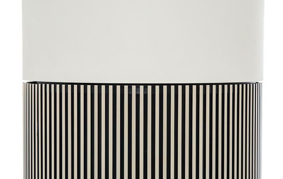 Máy lọc không khí LG PuriCare Aero Booster AS55GGSY0.ABAE