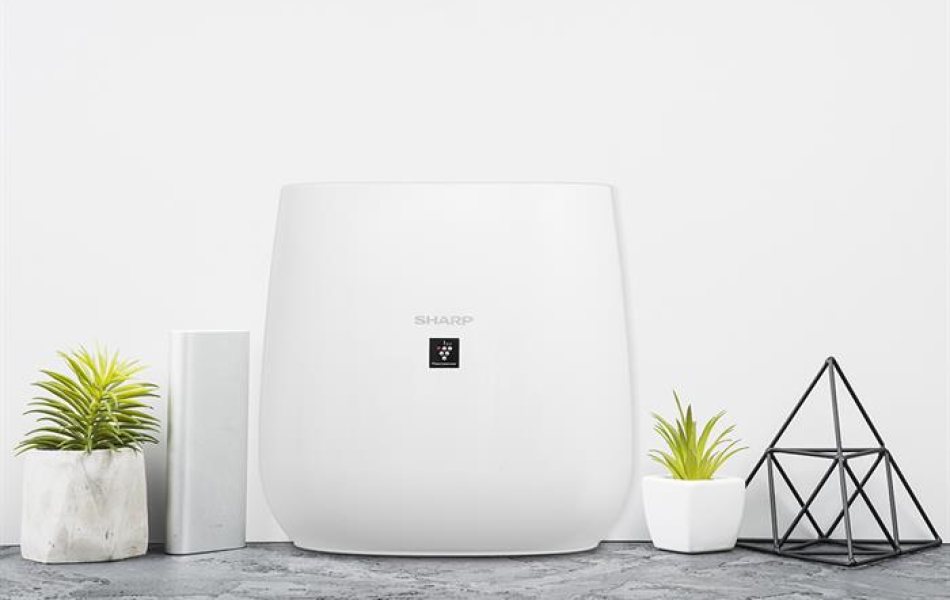 Máy lọc không khí Sharp FP-J30E-A/B