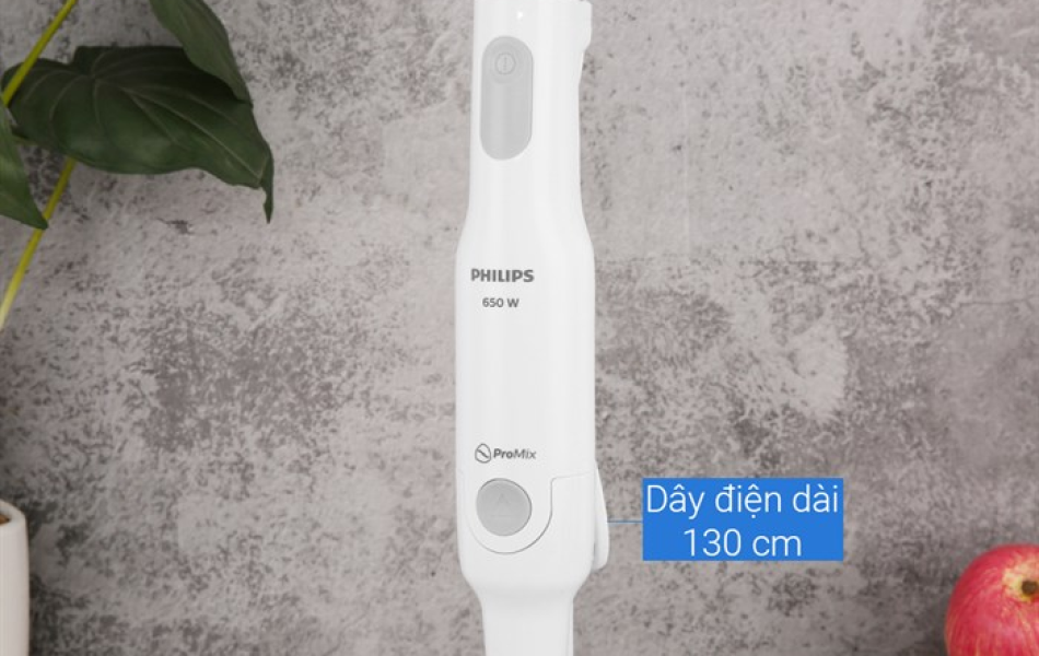 Máy xay sinh tố cầm tay PHILIPS HR2531/00