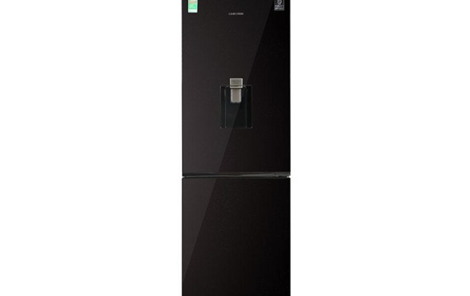 Tủ lạnh Samsung Inverter 307 lít RB30N4190BY/SV