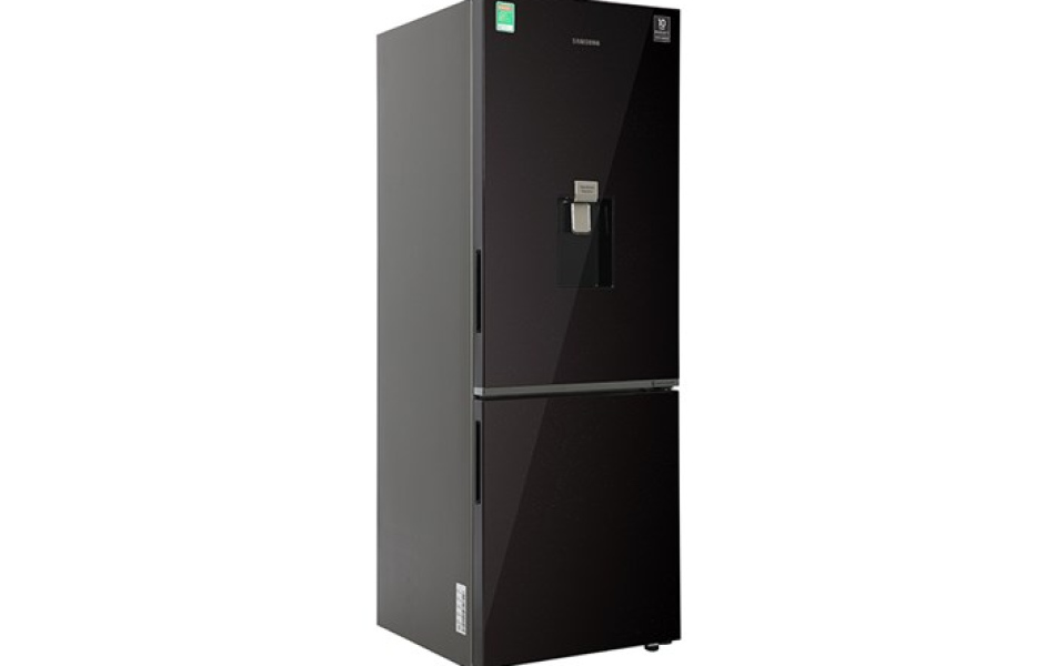 Tủ lạnh Samsung Inverter 307 lít RB30N4190BY/SV