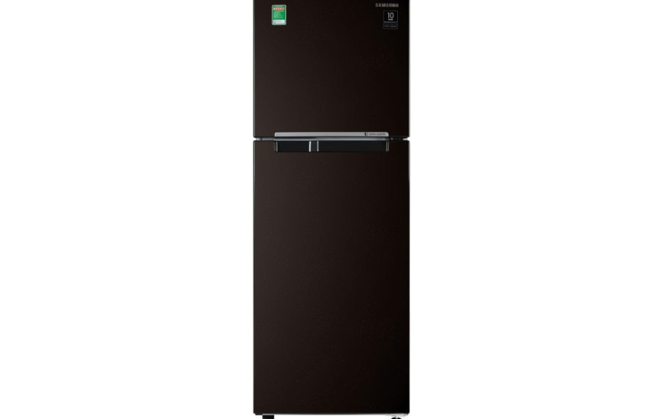 Tủ lạnh Samsung Inverter 236 lít RT22M4032BY/SV