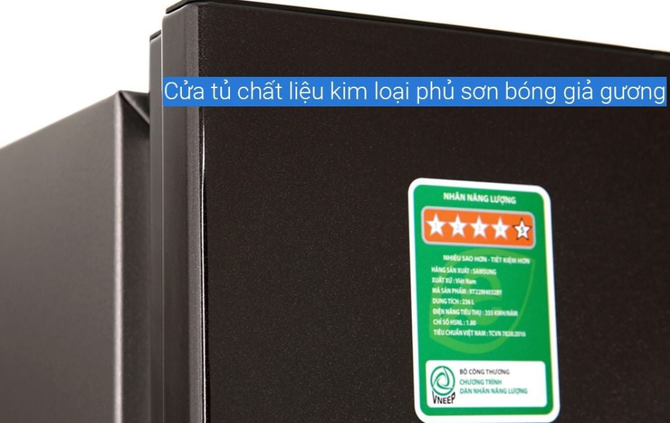 Tủ lạnh Samsung Inverter 236 lít RT22M4032BY/SV