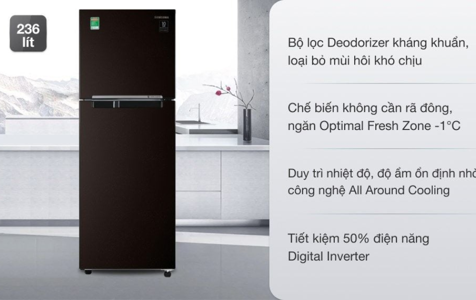 Tủ lạnh Samsung Inverter 236 lít RT22M4032BY/SV