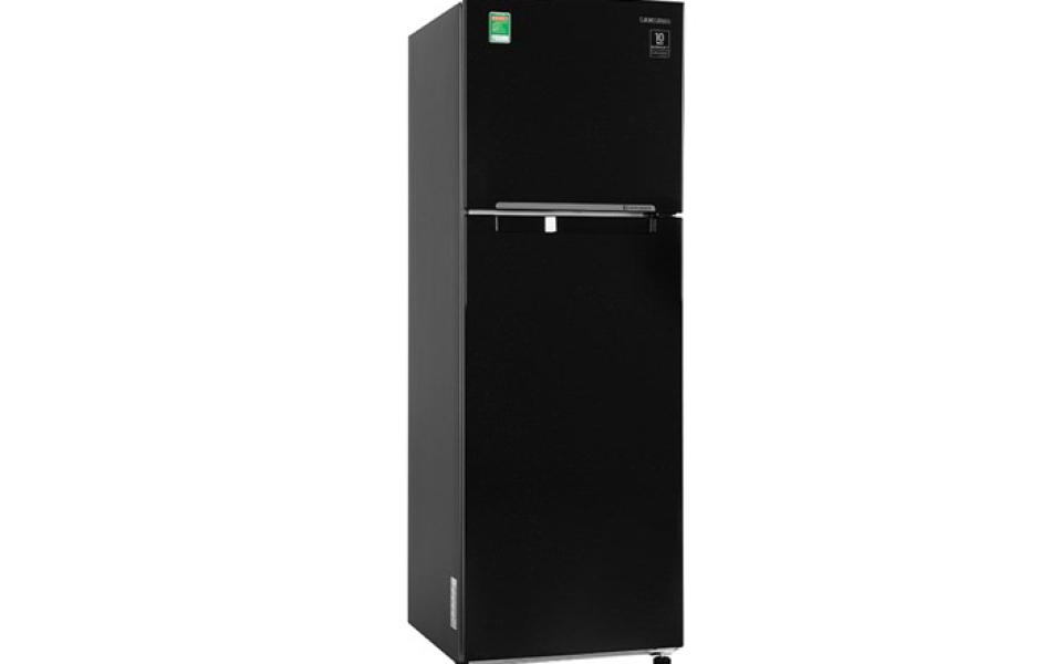 Tủ lạnh Samsung Inverter 256 lít RT25M4032BU/SV