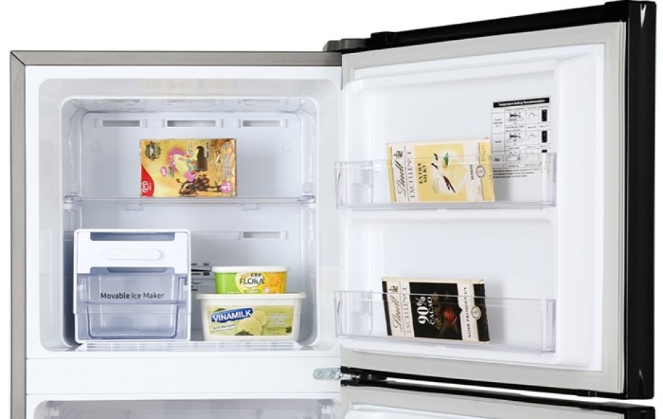 Tủ lạnh Samsung Inverter 256 lít RT25M4032BU/SV