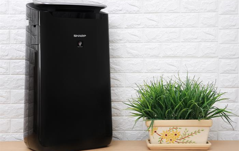 Máy lọc không khí Sharp FP-J80EV-H
