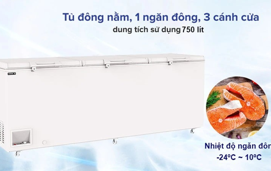 Tủ đông 2 cánh Inverter Sanden SNQ-0805i 818L