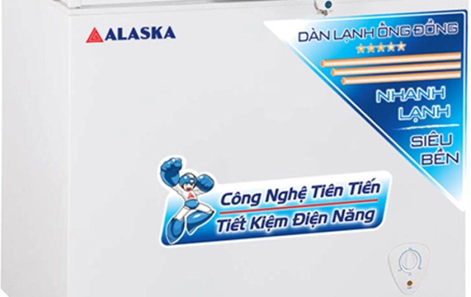 Tủ đông Alaska 205 lít BD-300C