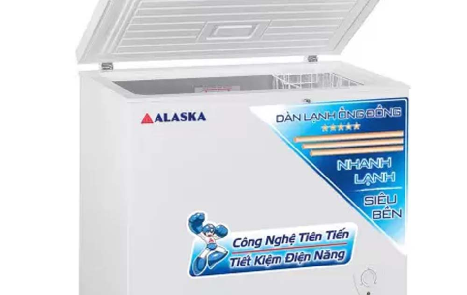 Tủ đông Alaska 205 lít BD-300C