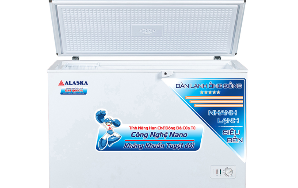 Tủ đông Alaska 205 lít BD-300C
