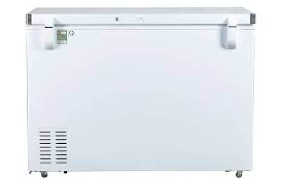 Tủ đông Alaska 295 lít BD-400